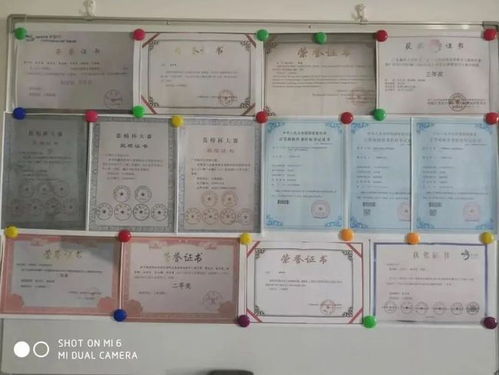 2020招新丨微云信息團(tuán)隊(duì)